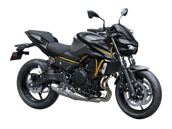 Z650 S